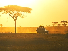 Game_Drives_in_Africa
